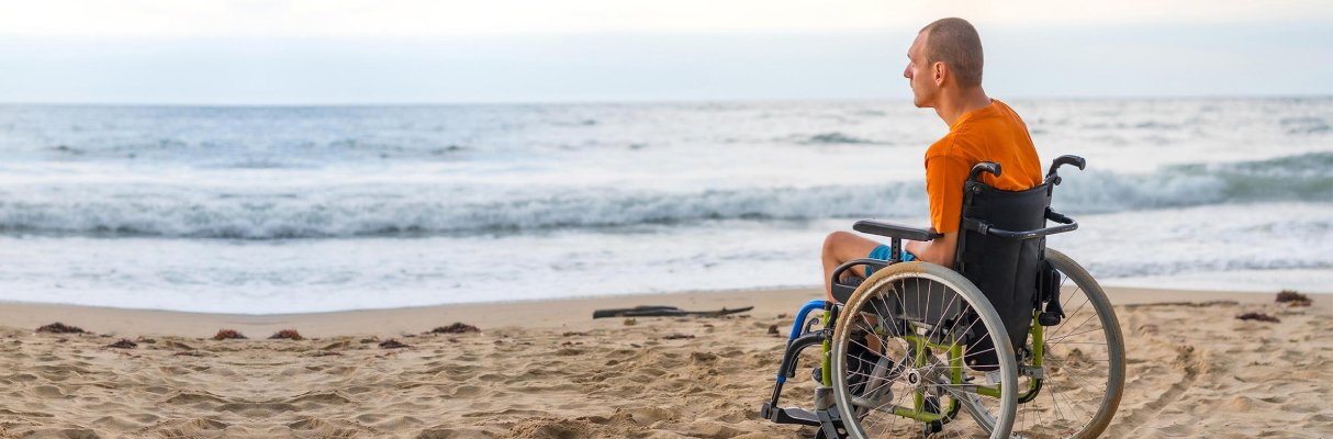 Assist Travel Transport